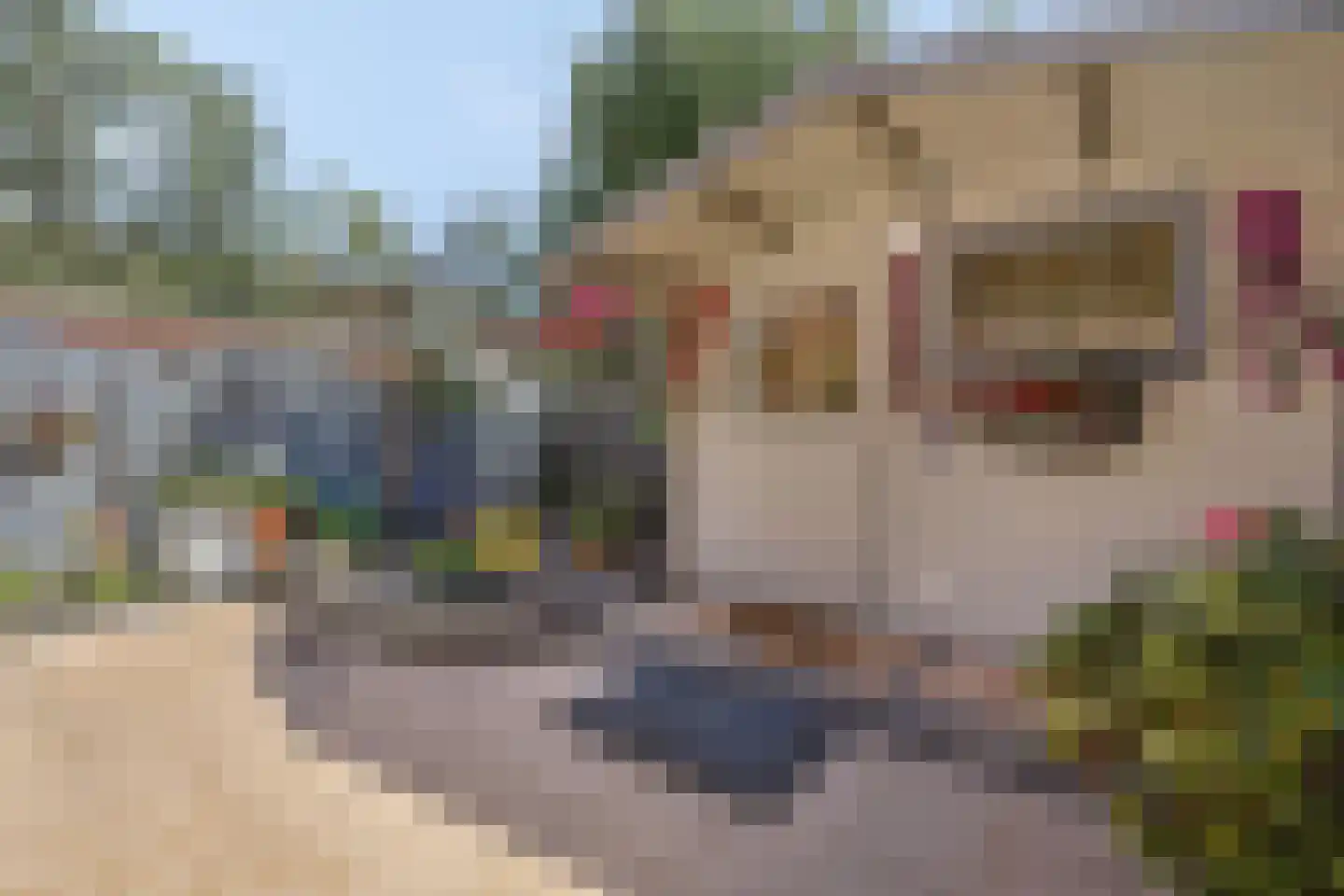 Kootwijkerzand 1 Amersfoort thumbnail 37