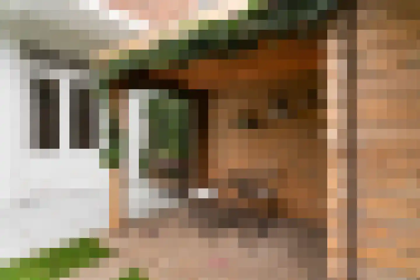 Kootwijkstraat 160 Den Haag thumbnail 34