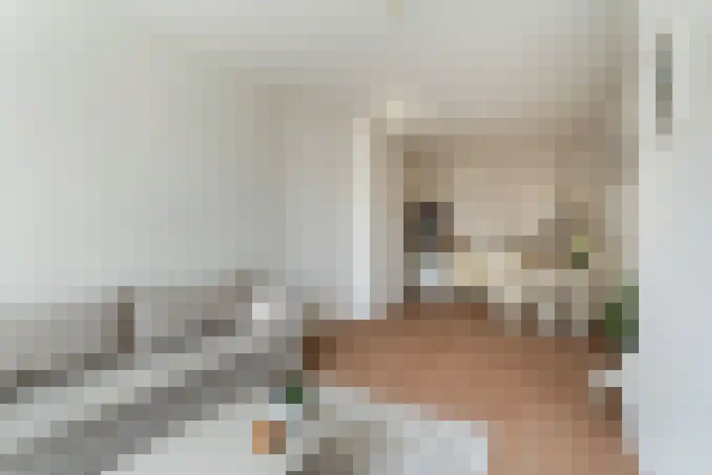 Kootwijkstraat 89 Den Haag thumbnail 10