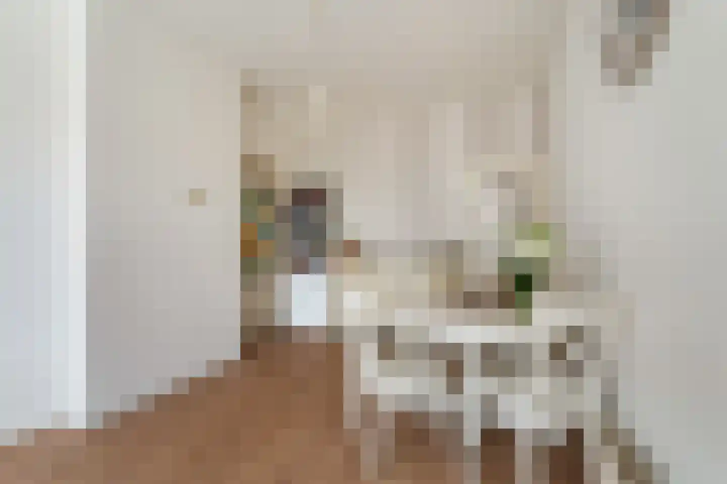 Kootwijkstraat 89 Den Haag thumbnail 14