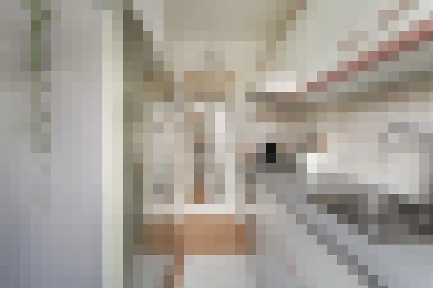 Kootwijkstraat 89 Den Haag thumbnail 20