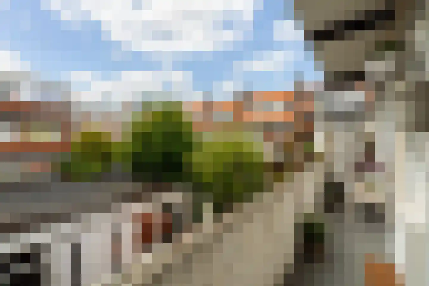 Kootwijkstraat 89 Den Haag thumbnail 23