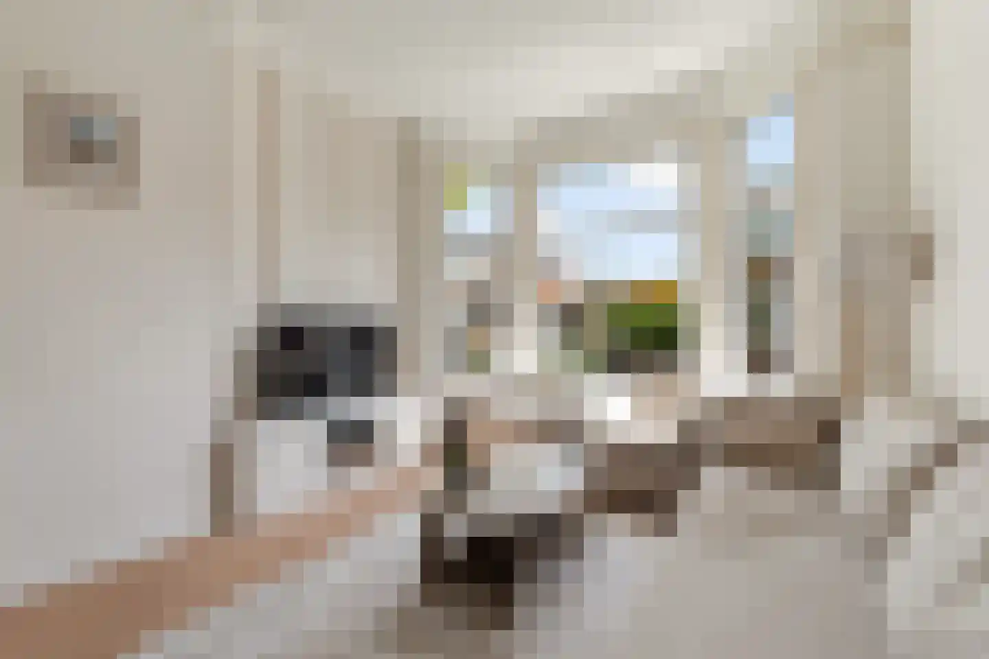 Kootwijkstraat 89 Den Haag thumbnail 9