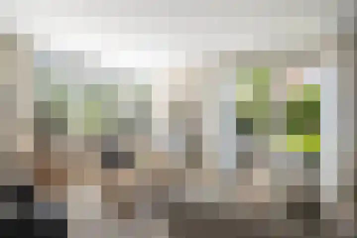 Kooweide 5 Borculo thumbnail 15