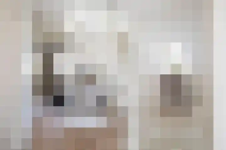 Kooweide 5 Borculo thumbnail 22