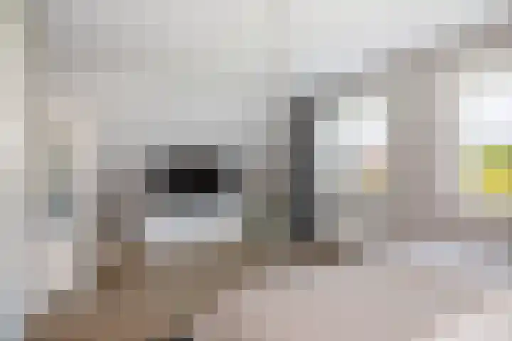 Kooweide 5 Borculo thumbnail 25