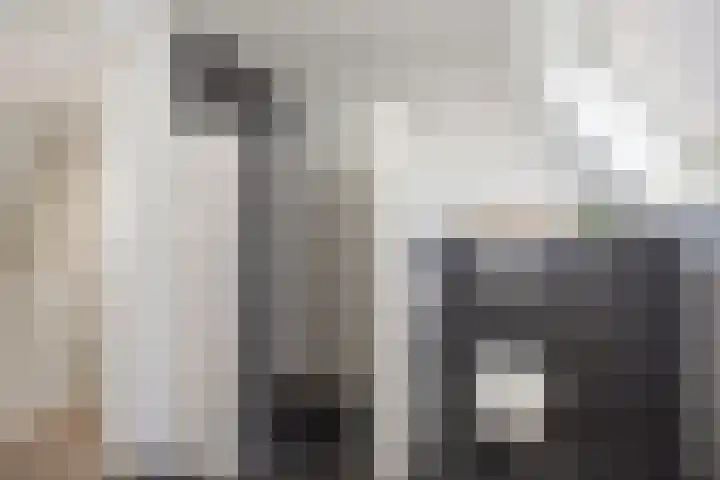 Kooweide 5 Borculo thumbnail 26
