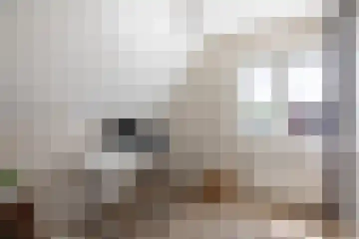 Kooweide 5 Borculo thumbnail 30