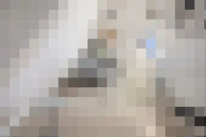 Kooweide 5 Borculo thumbnail 34
