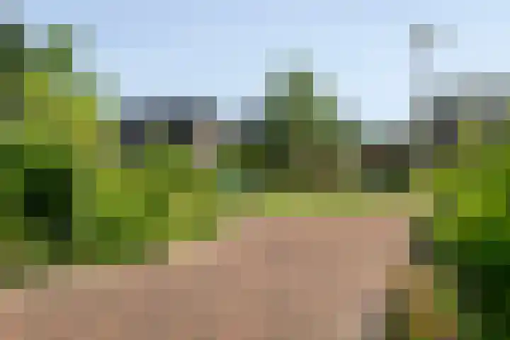 Kooweide 5 Borculo thumbnail 35