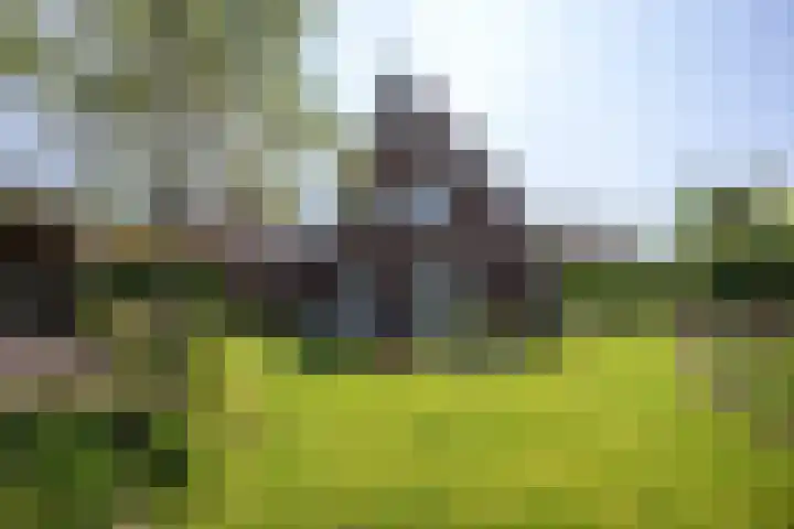 Kooweide 5 Borculo thumbnail 4