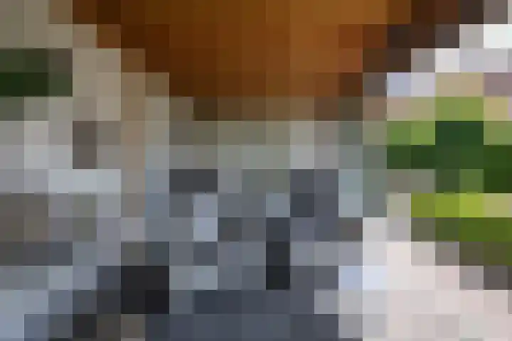 Kooweide 5 Borculo thumbnail 6