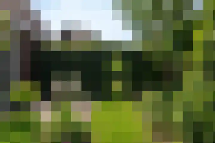 Kooweide 5 Borculo thumbnail 7