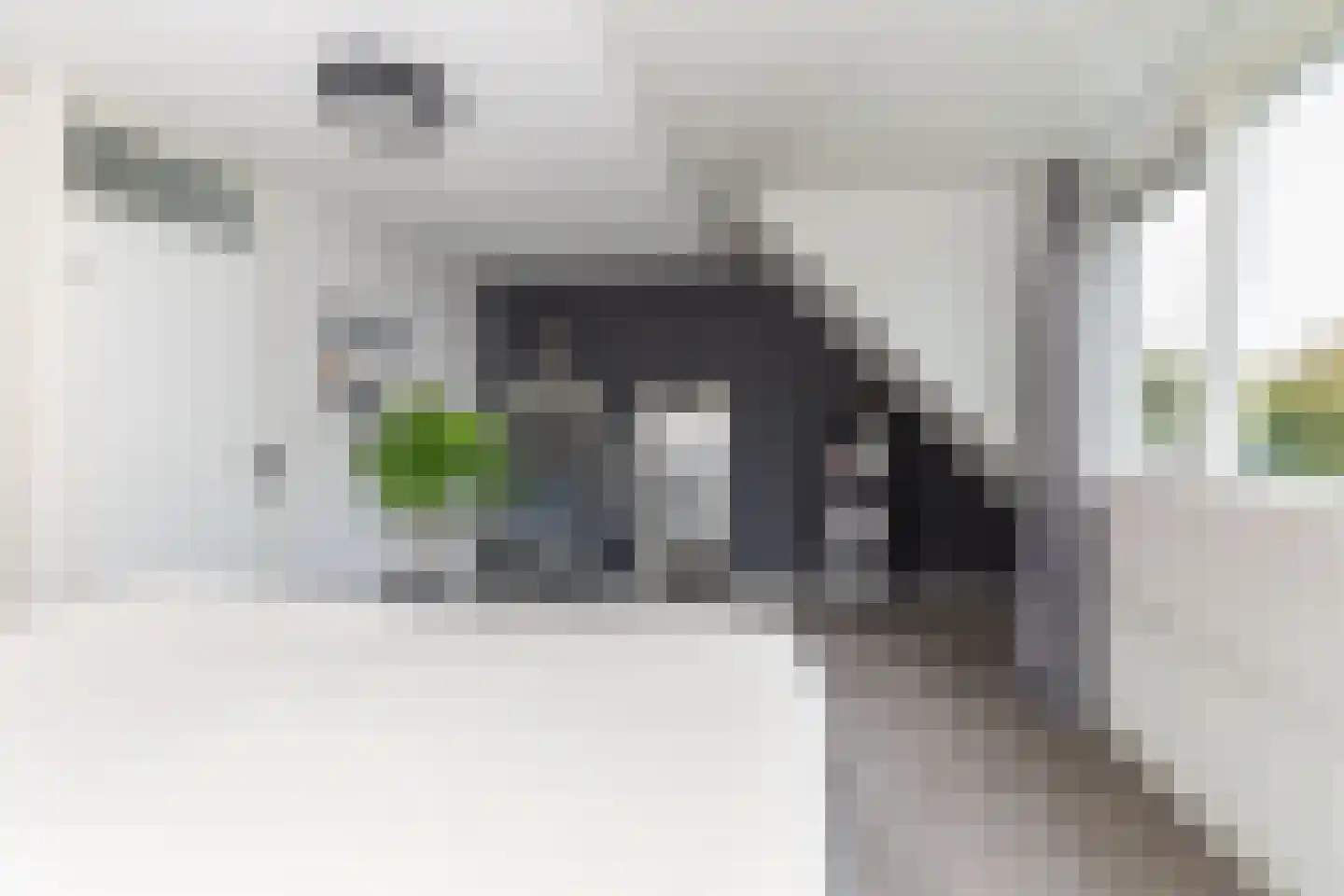 Kooyplasse 4 Zuidwolde thumbnail 23
