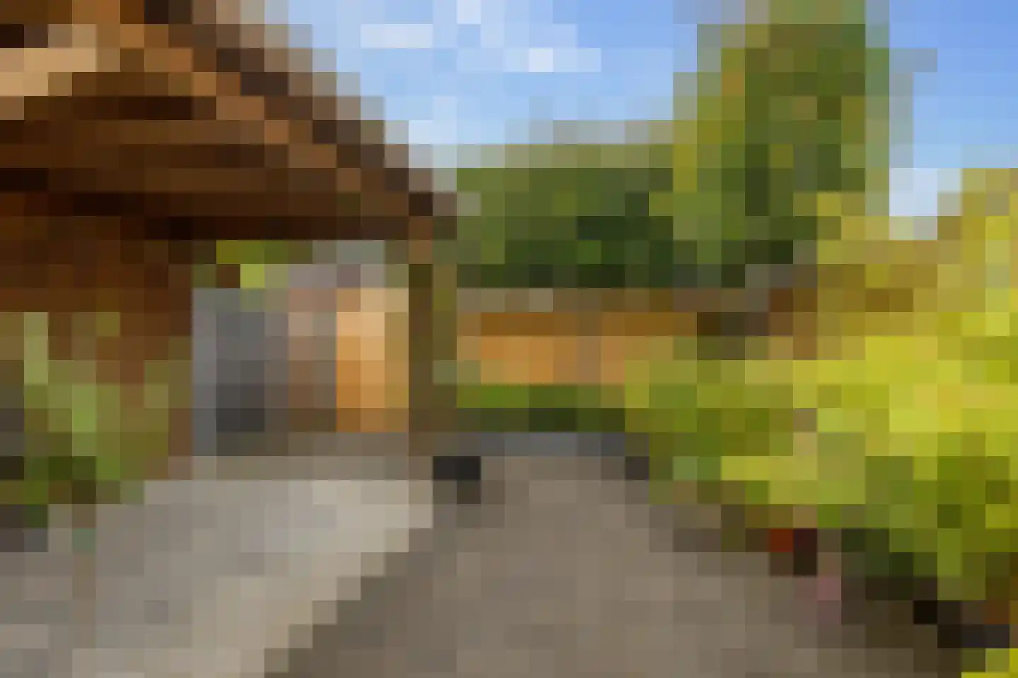 Kooyplasse 4 Zuidwolde thumbnail 36