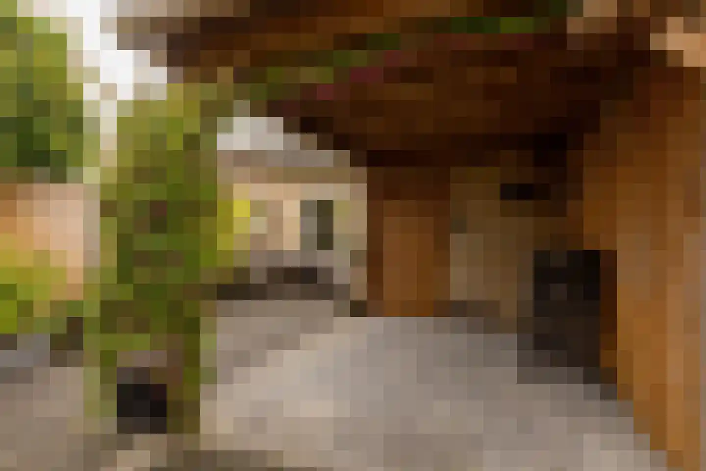Kooyplasse 4 Zuidwolde thumbnail 38