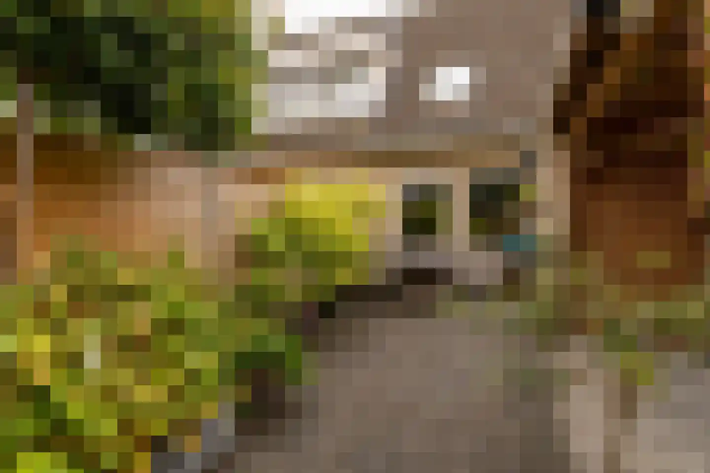 Kooyplasse 4 Zuidwolde thumbnail 39
