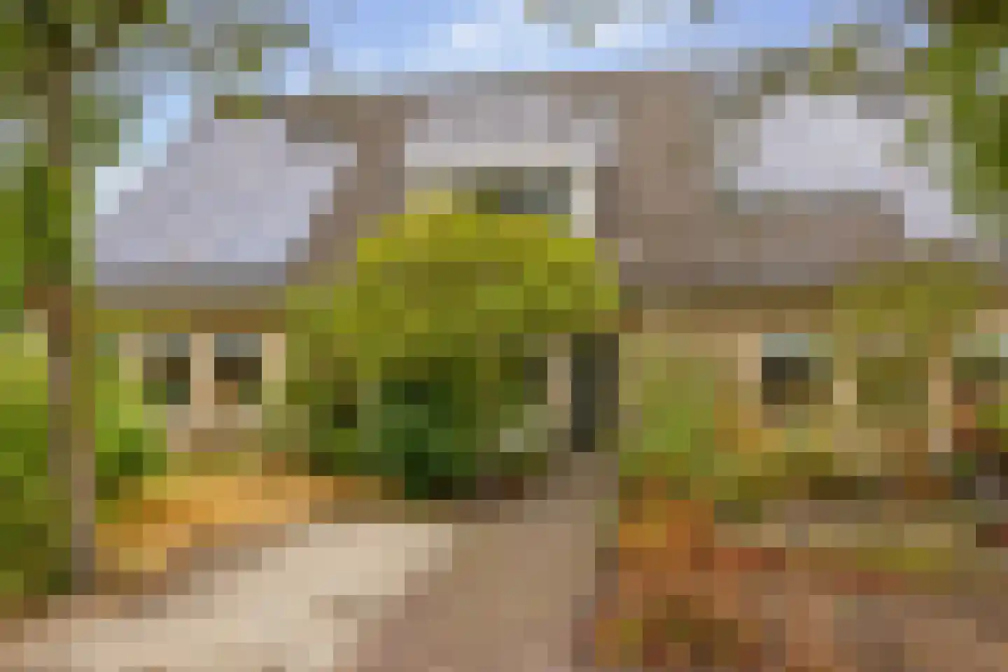 Kooyplasse 4 Zuidwolde thumbnail 40
