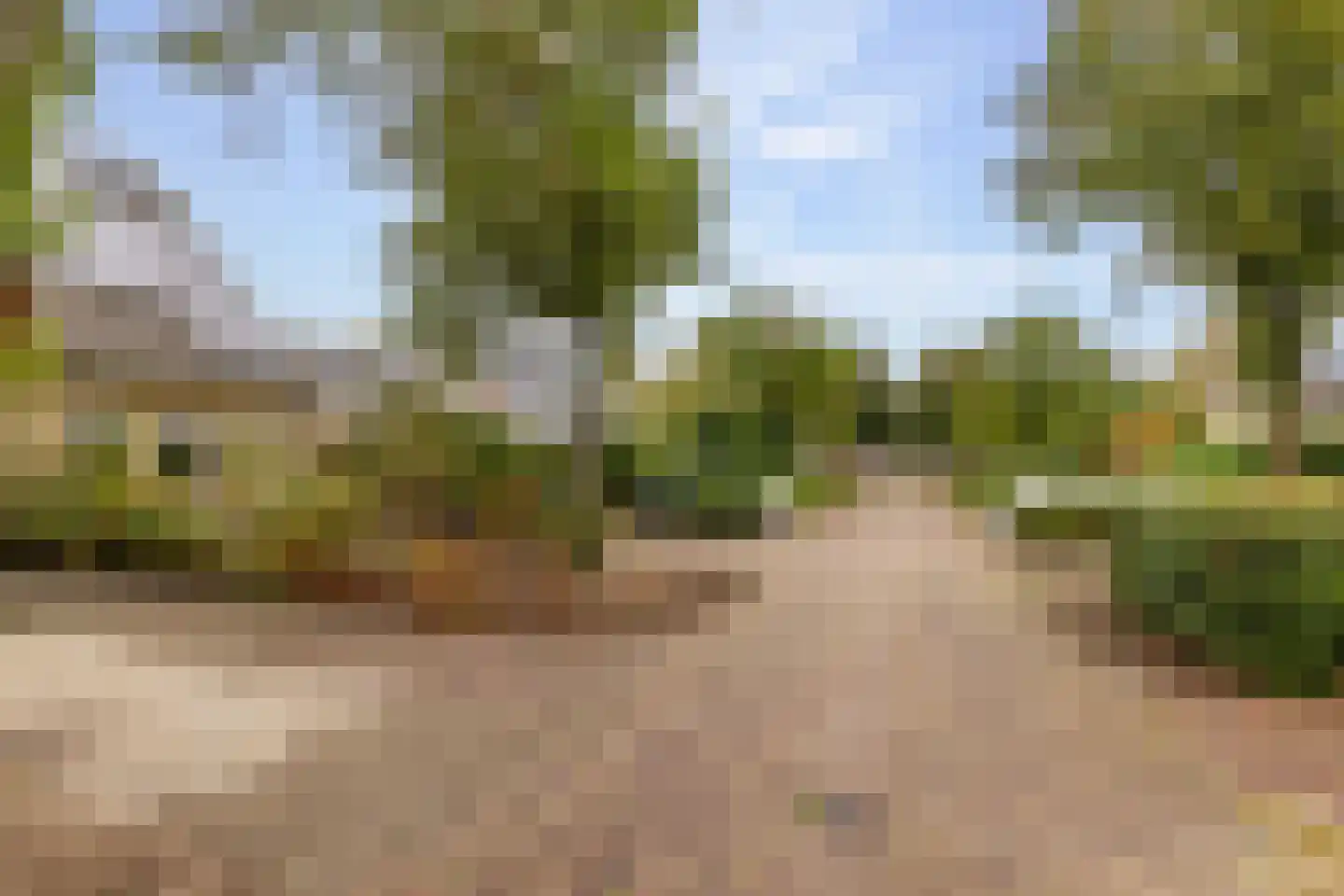Kooyplasse 4 Zuidwolde thumbnail 42