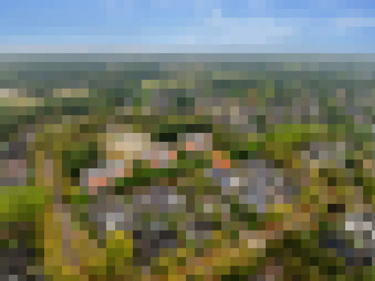 Kooyplasse 4 Zuidwolde thumbnail 44