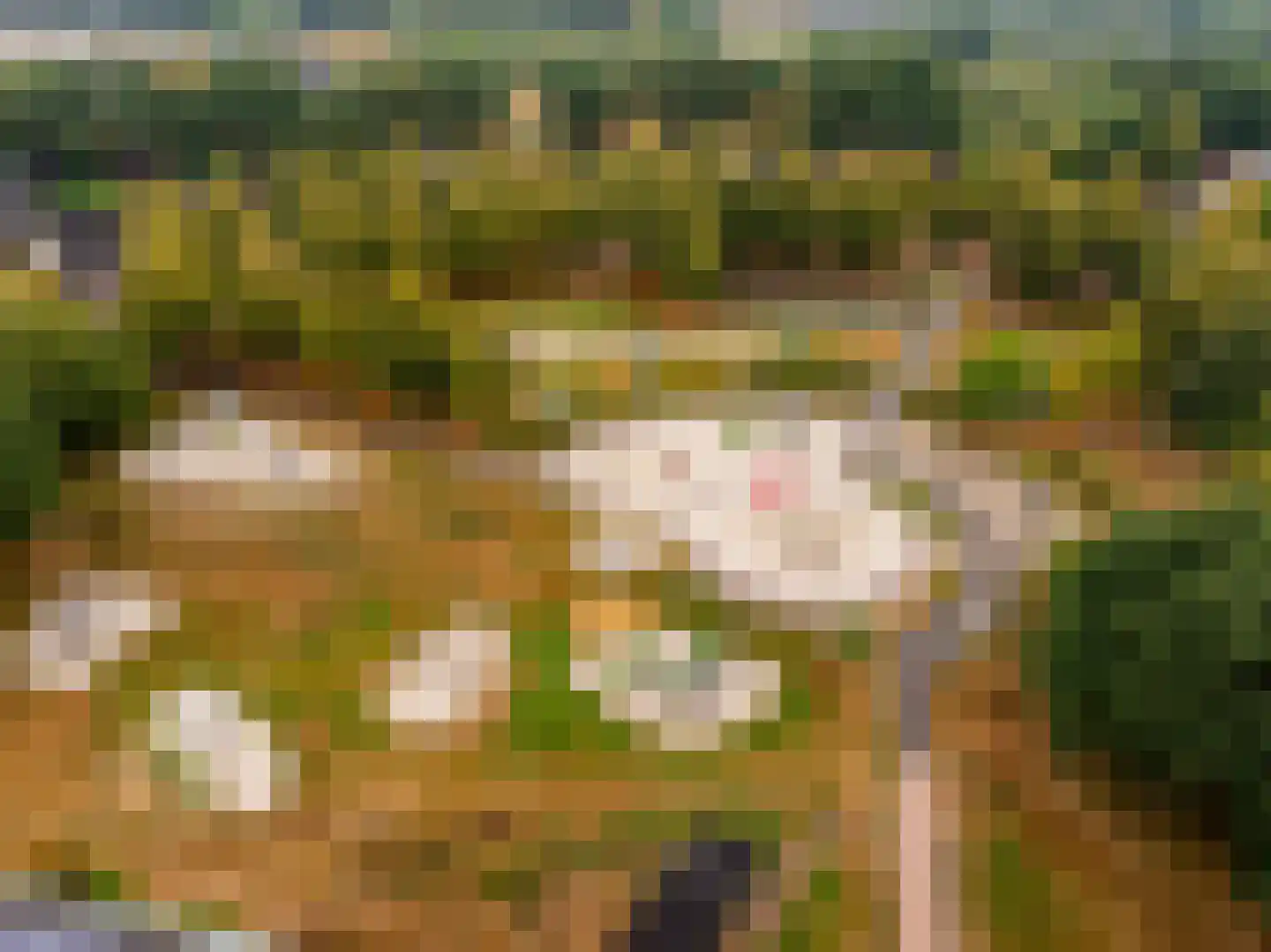 Kooyplasse 4 Zuidwolde thumbnail 45