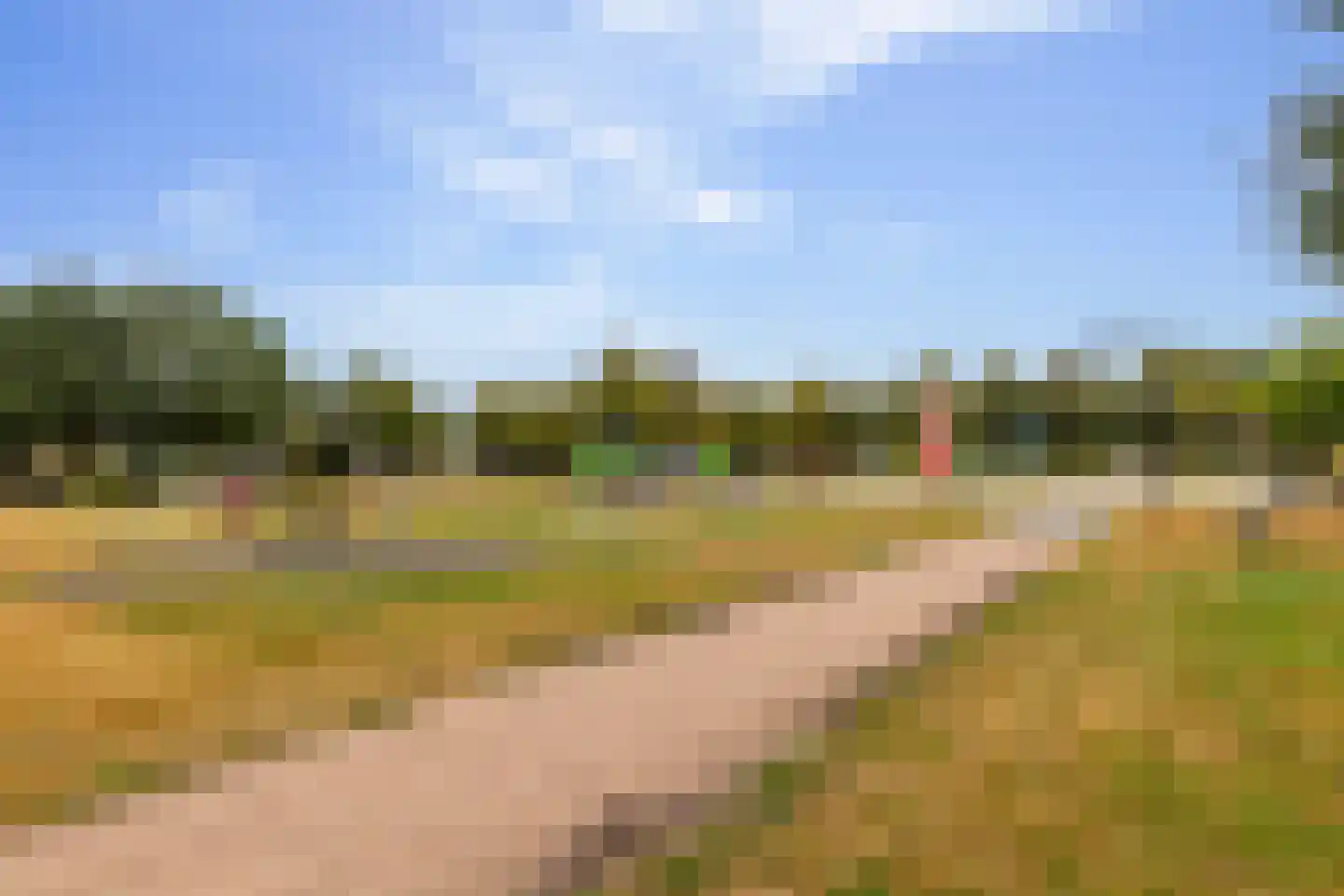 Kooyplasse 4 Zuidwolde thumbnail 46