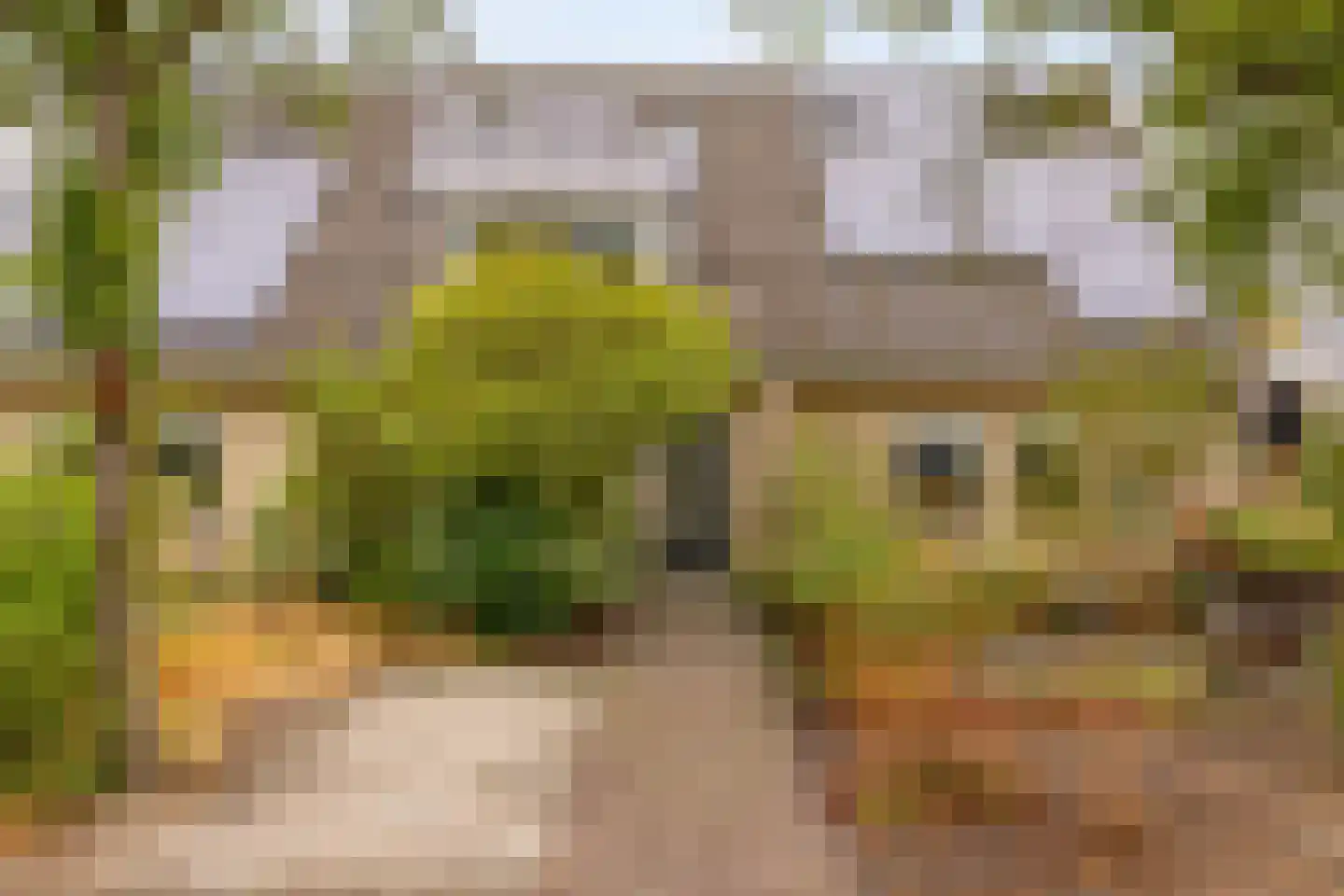 Kooyplasse 4 Zuidwolde thumbnail 5