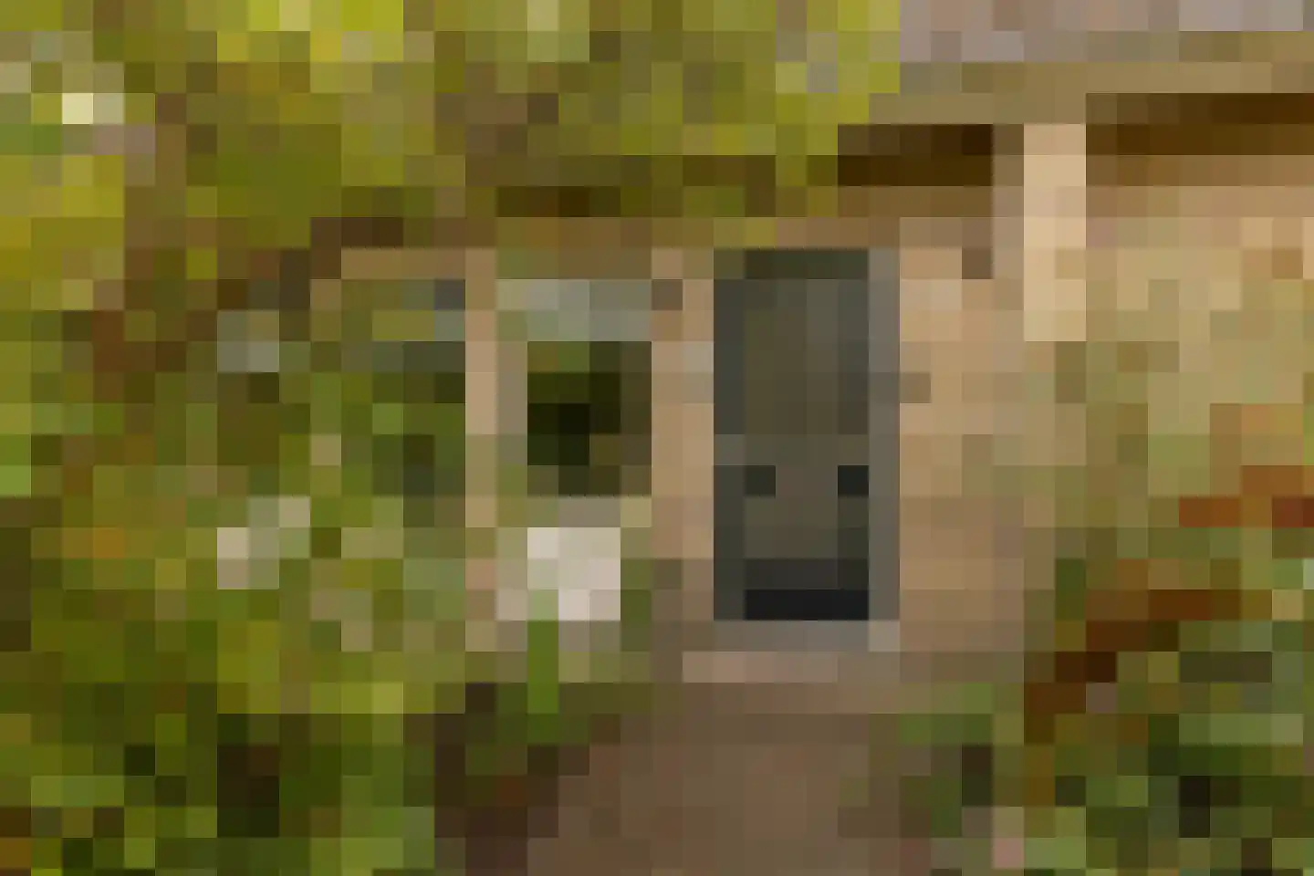Kooyplasse 4 Zuidwolde thumbnail 6