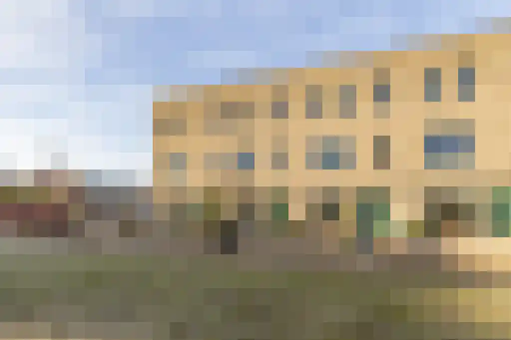 Kop van Genta 5 Breda thumbnail 5