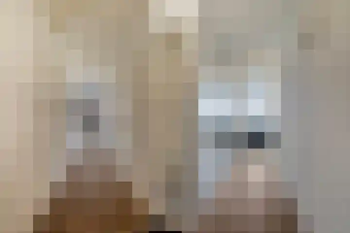 Kop van Het Ruim 17 Dronten thumbnail 12