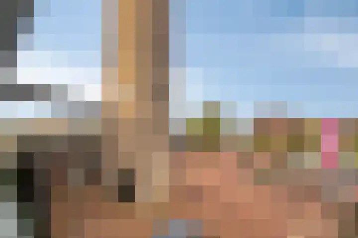 Kop van Het Ruim 17 Dronten thumbnail 33