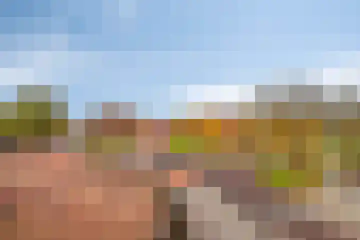 Kop van Het Ruim 17 Dronten thumbnail 39