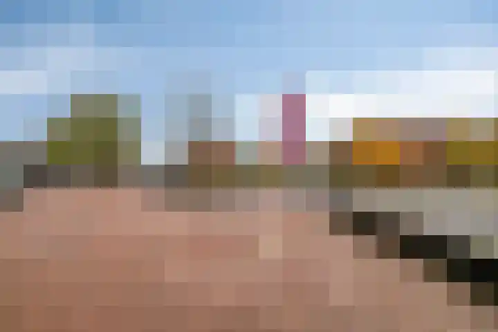 Kop van Het Ruim 17 Dronten thumbnail 41