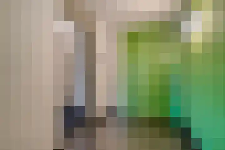 Kop van Het Ruim 17 Dronten thumbnail 9