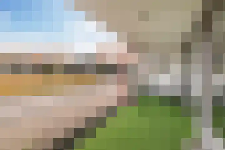Kop van Het Ruim 37 Dronten thumbnail 19