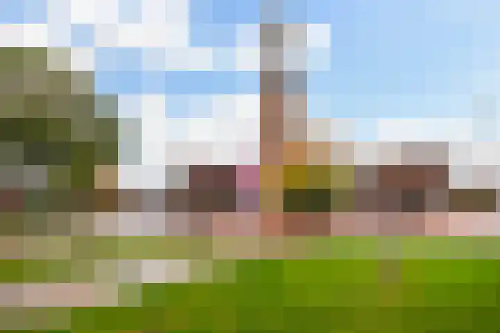 Kop van Het Ruim 37 Dronten thumbnail 20