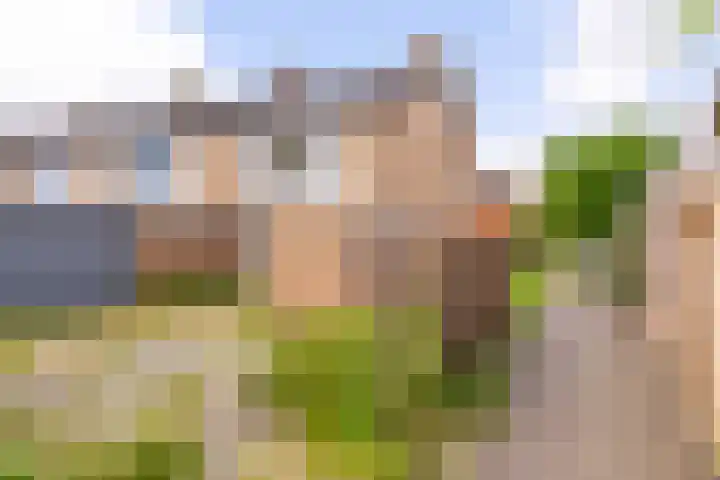 Kop van Het Ruim 41 Dronten thumbnail 18
