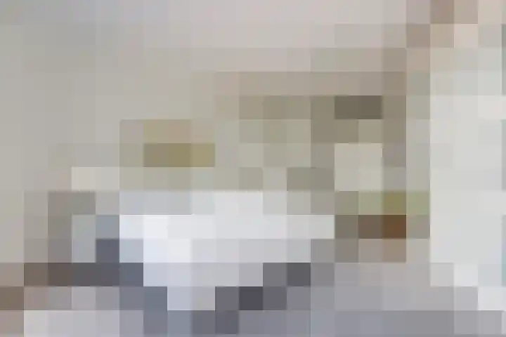 Kop van Het Ruim 41 Dronten thumbnail 28