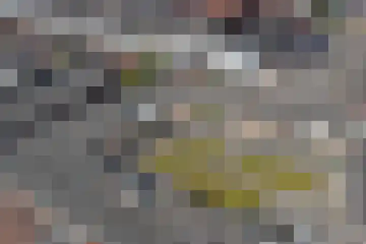 Kop van Het Ruim 41 Dronten thumbnail 35