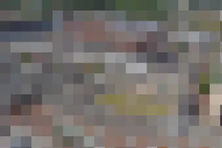 Kop van Het Ruim 41 Dronten thumbnail 36