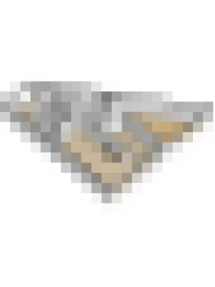Kop van Het Ruim 41 Dronten thumbnail 42