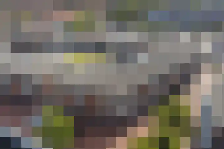 Kop van Het Ruim 41 Dronten thumbnail 5