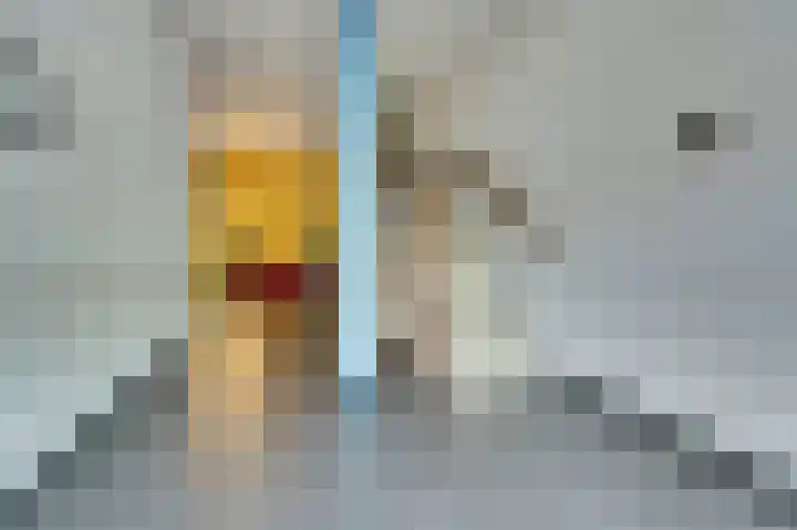 Kop van Het Ruim 43 Dronten thumbnail 9