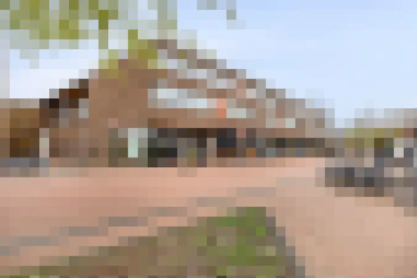 Kop van Het Ruim 47 Dronten
