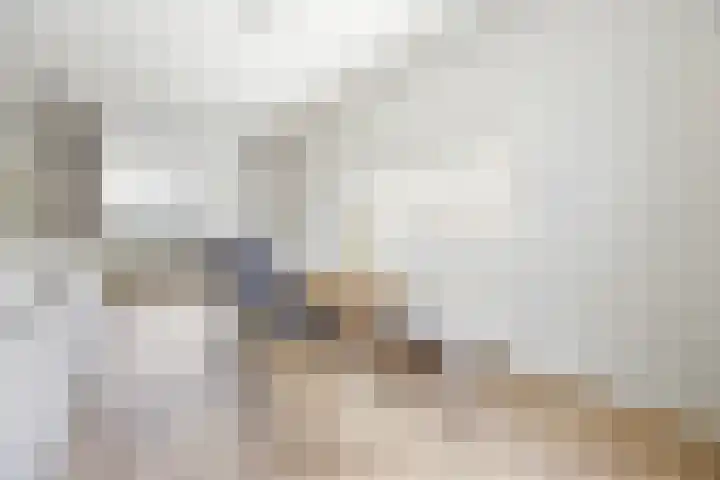 Kopacker 16 Malden thumbnail 4