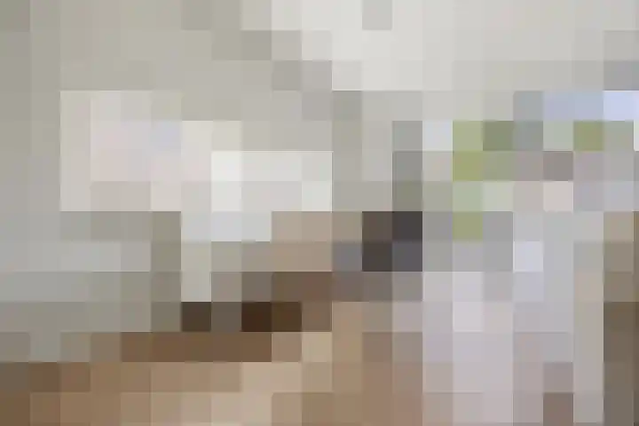 Kopacker 16 Malden thumbnail 6