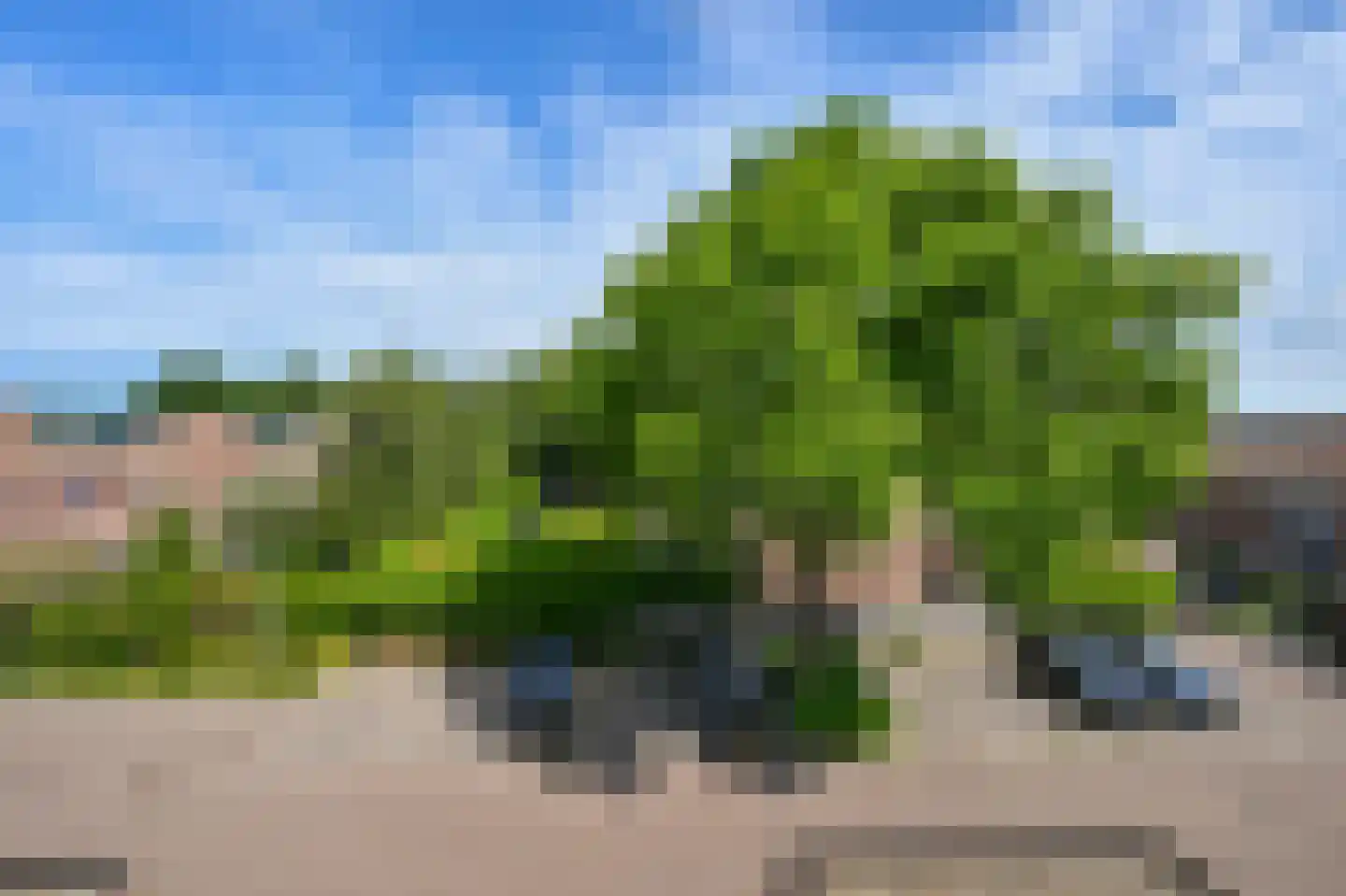 Kopakker 18 Koog aan de Zaan thumbnail 33