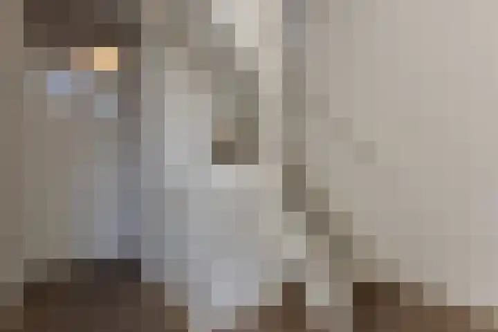 Kopakker 4 Koog aan de Zaan thumbnail 12