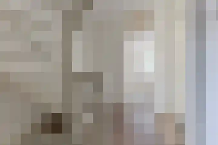 Kopakker 4 Koog aan de Zaan thumbnail 13