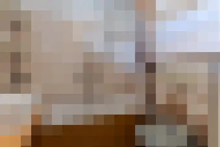 Kopakker 4 Koog aan de Zaan thumbnail 20